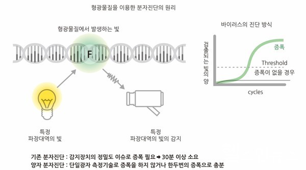 기존PCR진단과양자분자진단기술의차이점(트루윈제공)
