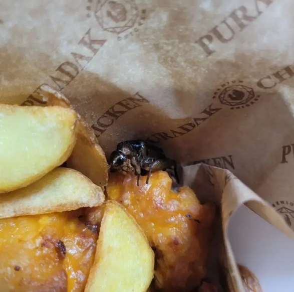 온라인 커뮤니티에 게시된 푸라닭 치킨 내 귀뚜라미 추정 벌레 모습. / 사진 = 디시인사이트 캡처