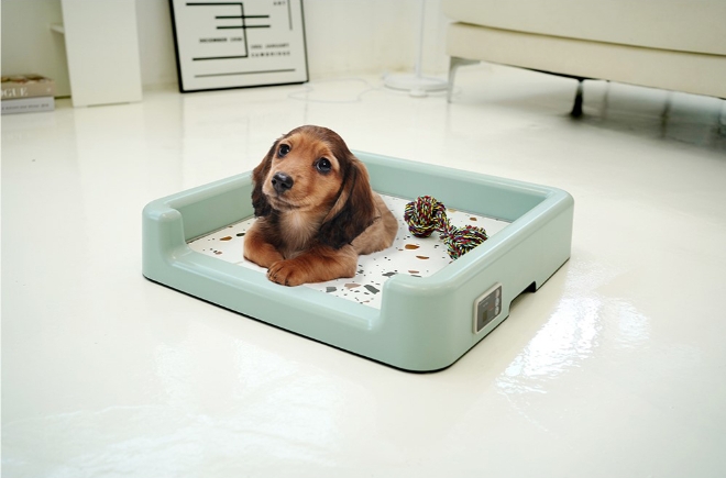 사진=반려 동물을 위한 다돌 돌침대. 제공=(주)파랑