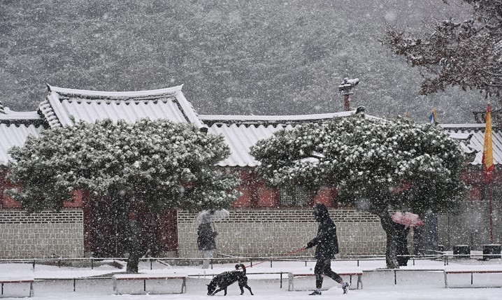 절기상 대설(大雪)을 하루 앞둔 지난 6일 경기도 수원시 팔달구 화성행궁에서 시민들이 함박눈을 맞으며 걸어가고 있다.