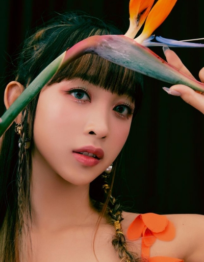 시크릿 넘버(SECRET NUMBER), 디타 ‘12월 생일 아티스트’ 1위 등극