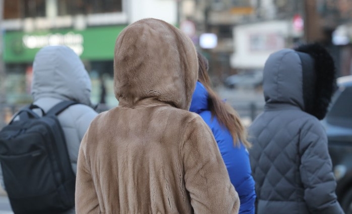 강력한 한파가 찾아온 지난 14일 오전 서울 종로구 광화문네거리에서 직장인들이 모자를 쓴채 출근하고 있다.