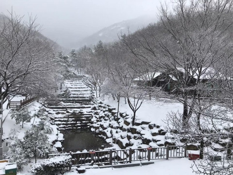 해남군 흑석산 자연휴양림 (사진제공 = 해남군)