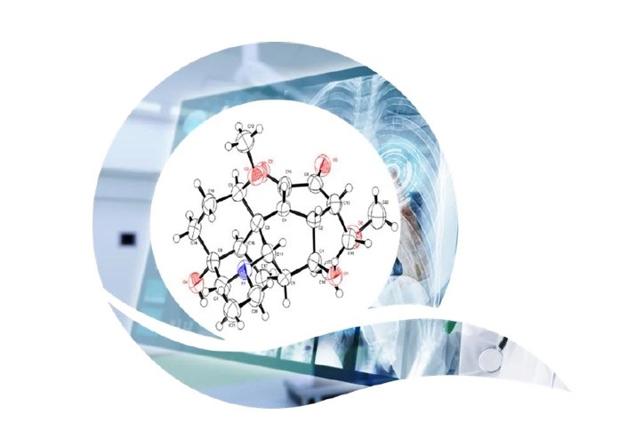 큐제네틱스, ‘골형성 촉진 신약 QC3030’ 국내외 비즈니스 전략 발표