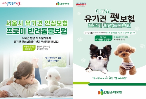 DB손해보험 유기견 보험정책 / 이미지 제공 = DB손해보험