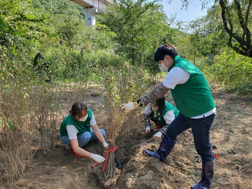 9월 22일 스타벅스 파트너들이 난지습지생태원을 방문해 식재활동을 하고 있다 / 사진 제공 = 스타벅스