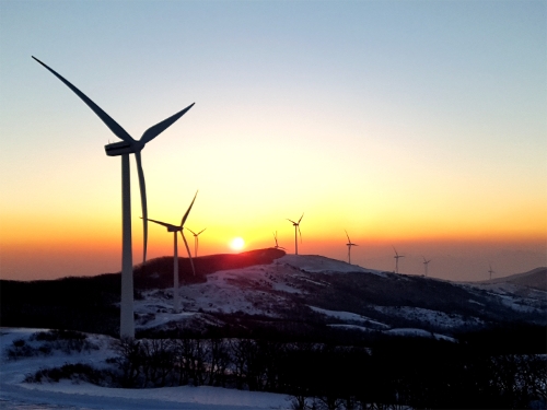 삼양목장 전경 / 사진 제공 = 삼양목장