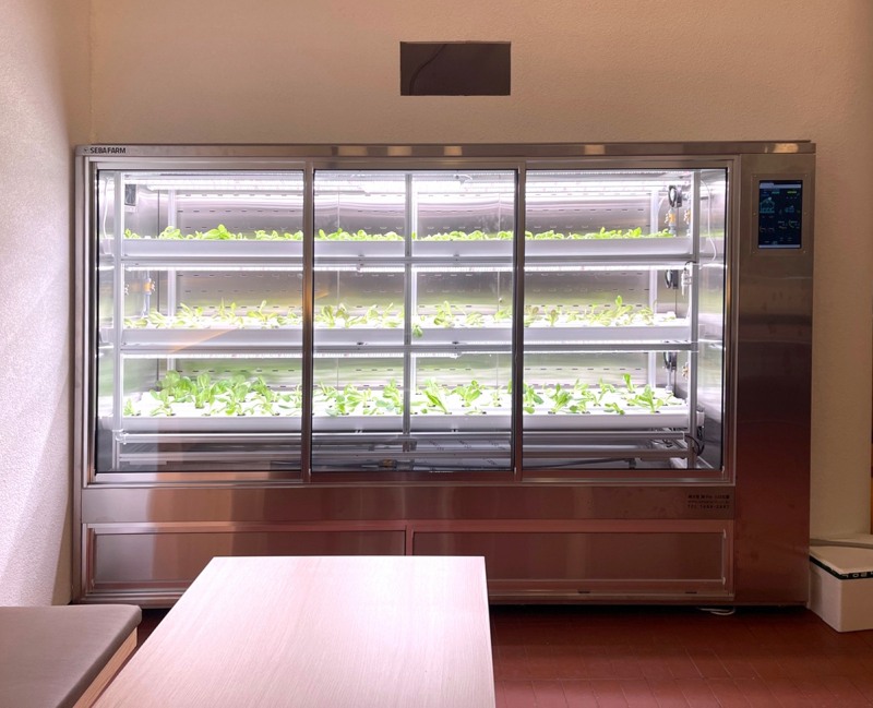 포항 나눔지역자활센터에 스마트팜 식물재배기 SBF-SC3000 설치