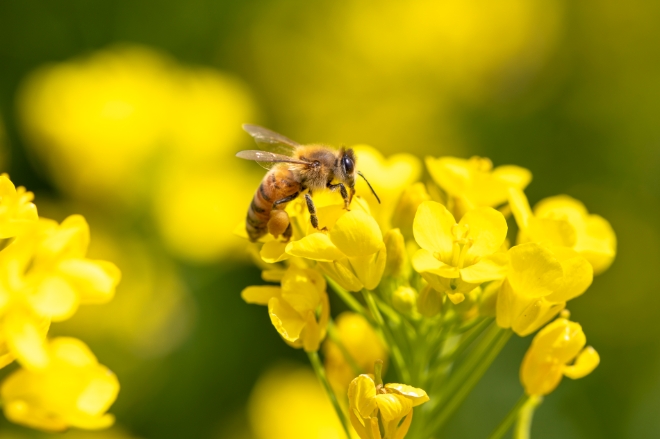 사진=클립아트코리아