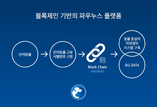 파우누스글로벌, 플랫폼 개발 박차