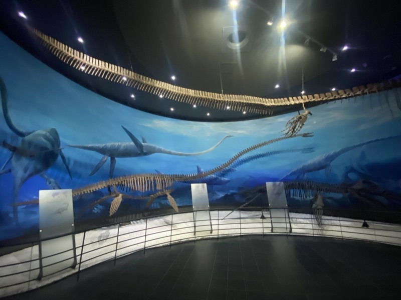 해남공룡박물관 해양파충류실 (사진제공 = 해남군)