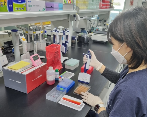 실험사진 / 제공 : 경기도