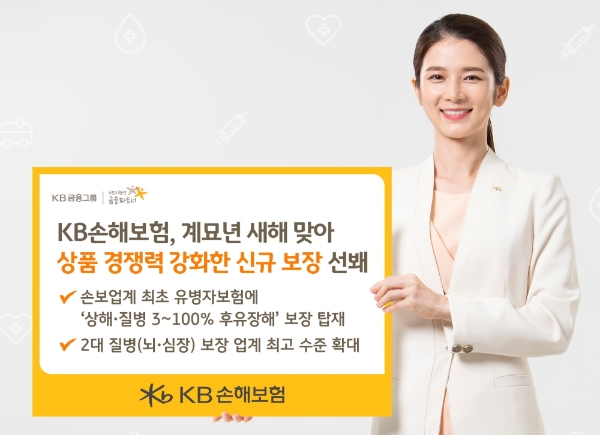 사진 제공 : KB손해보험