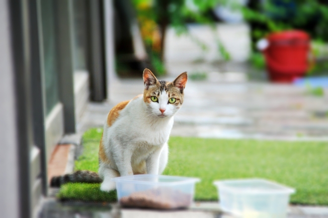 사진=pixabay