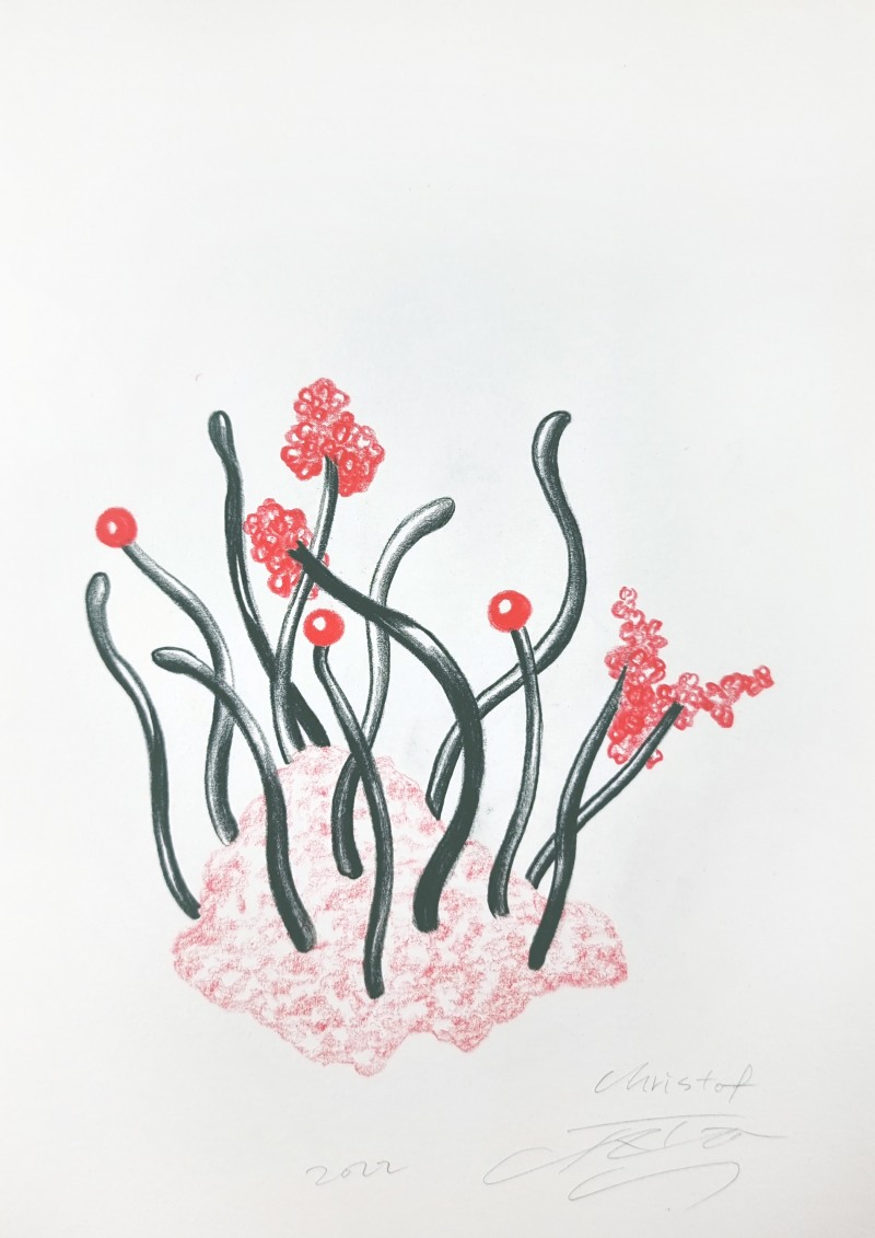 JUHEON CHO, 'Christof Düro', 2022, 21cm x 29.7cm, coloured pencil on paper / 사진=Courtesy of artist, 갤러리JH