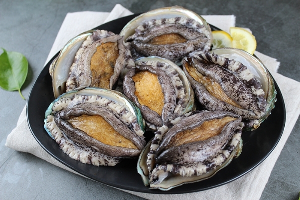 완도 전복 (사진제공 = 완도군)