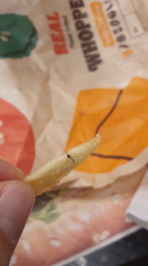 버거킹 감자튀김에서 나온 벌레로 보이는 이물질/ 사진= 네이버 카페 무적풍화륜 캡처