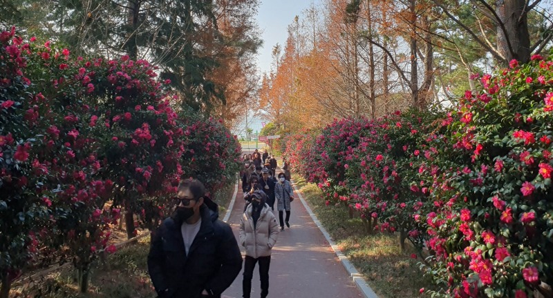 겨울꽃 축제 (사진제공 = 신안군)
