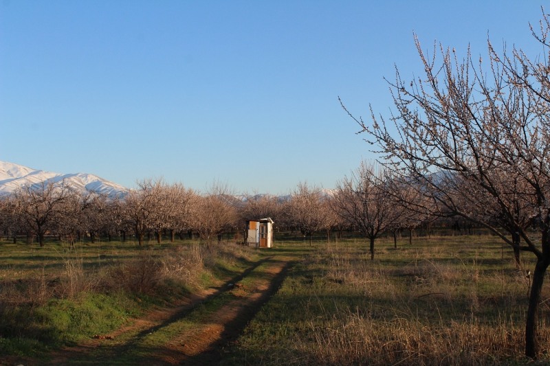 (사진=픽사베이)