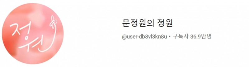 사진=문정원 유튜브 캡쳐