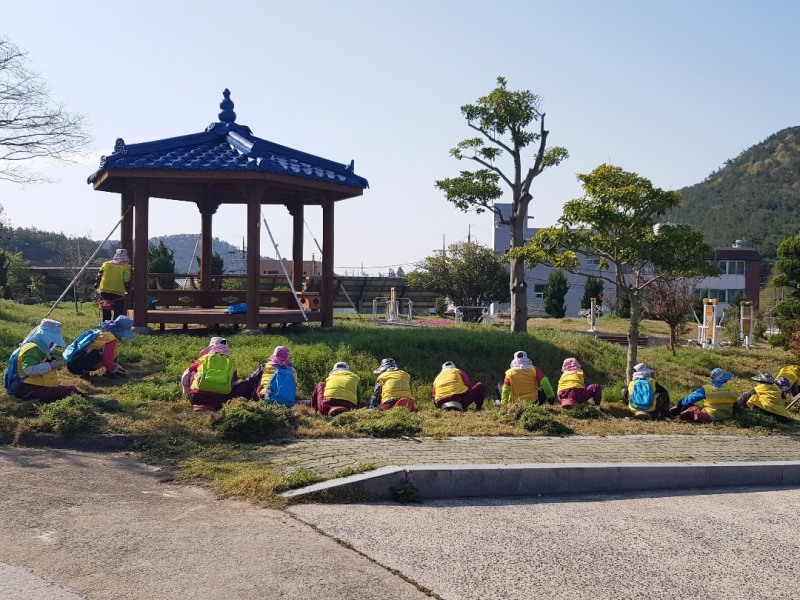 노인일자리 (사진제공 = 신안군)