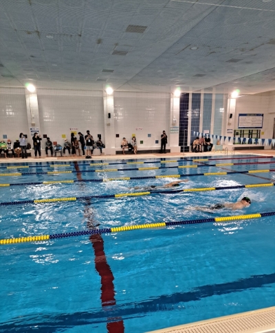 전국장애인체전 수영 경기 (사진제공 = 완도군)