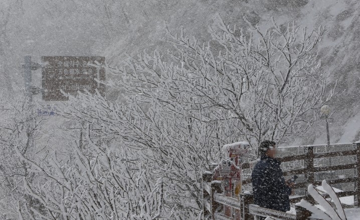 대설주의보가 발효 중인 지난 14일 오후 강원 인제군 설악산 한계령 휴게소에 눈이 펑펑 내리고 있다. 강원지방기상청에 따르면 동해·삼척·양양·강릉 평지와 태백, 북부·중부·남부 산지에 대설주의보가 발령됐다. 이번 눈은 15일 오후까지 이어지겠다. 적설량은 영동 3~8㎝, 많은 곳 영동 중·남부 10㎝ 이상 예상된다. 영서 남부지역에서는 0.1㎝ 미만의 눈이 날리겠다.