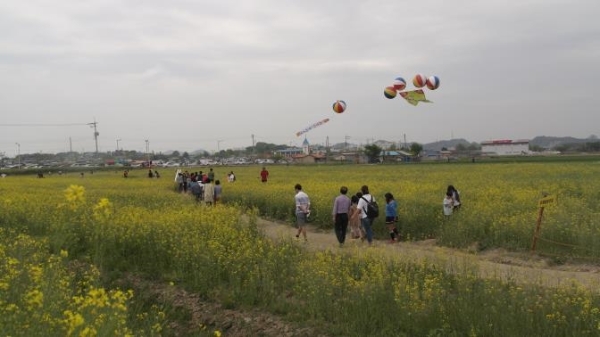 꽁당보리축제 (사진제공 = 군산시)