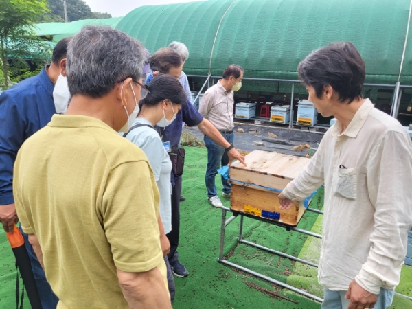 꿀떨어지는 양봉체험 (사진제공 = 군산시)