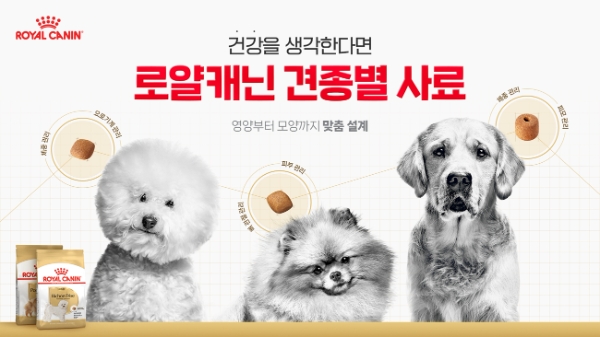 로얄캐닌 ‘2023 견종별 맞춤영양 캠페인’ 공개