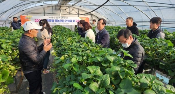 딸기 영농현장 맞춤형 컨설팅 (사진제공 = 보성군)