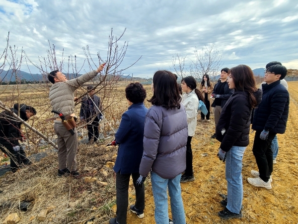 복숭아 정지전정 교육 (사진제공 = 화순군)