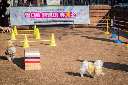 양천구, 취약계층 반려동물 의료비 및 유기동물 입양비 지원 사업 추진