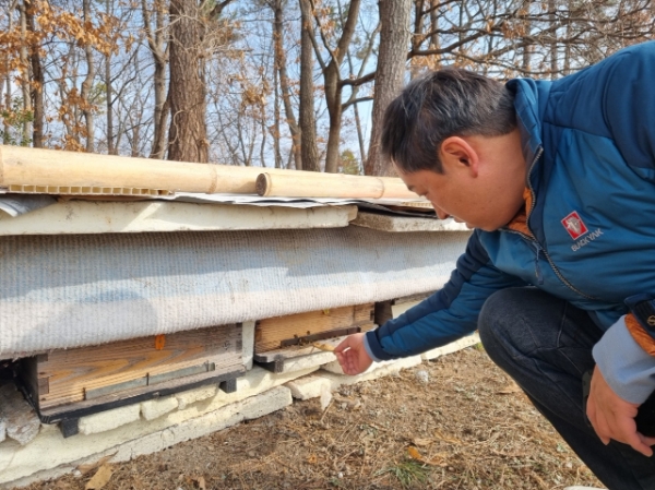 양봉농가 현장기술 (사진제공 = 화순군)