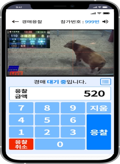 스마트폰 응찰 / 제공:농협