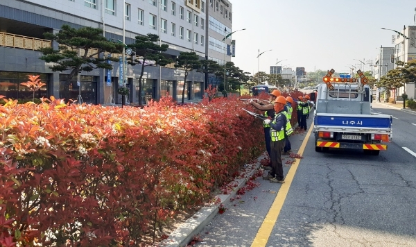 가로수·녹지 정비 (사진제공 = 나주시)