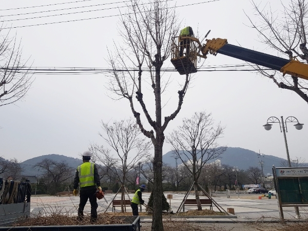 쾌적한 가로수 거리 (사진제공 = 정읍시)
