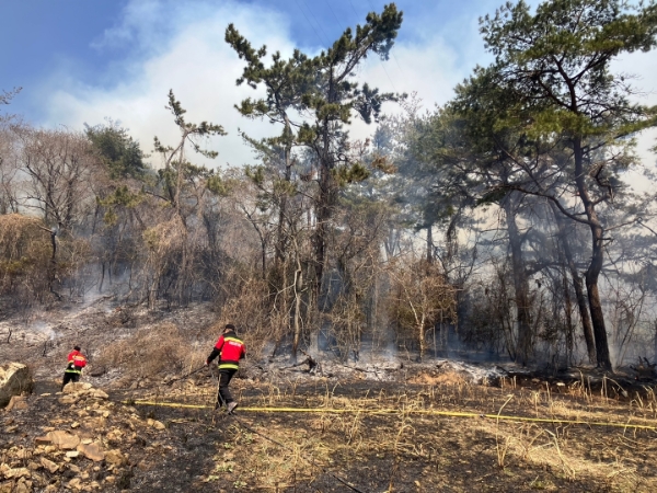산불 화재 진압 (사진제공 = 보성군)