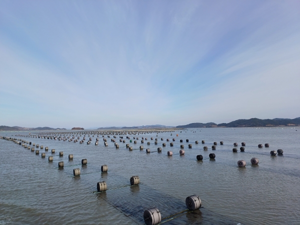김산업진훙구역 (사진제공 = 신안군)