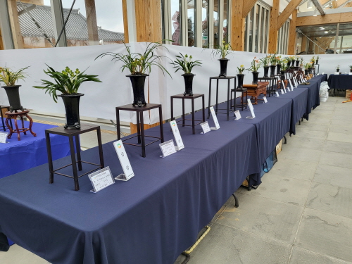한국수목원정원관리원, '2023 동양란 전국화예품 전시대회' 개최