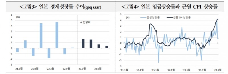 엔화 변동성, 국내에 전이될 가능성에 유의해야 - 국금센터
