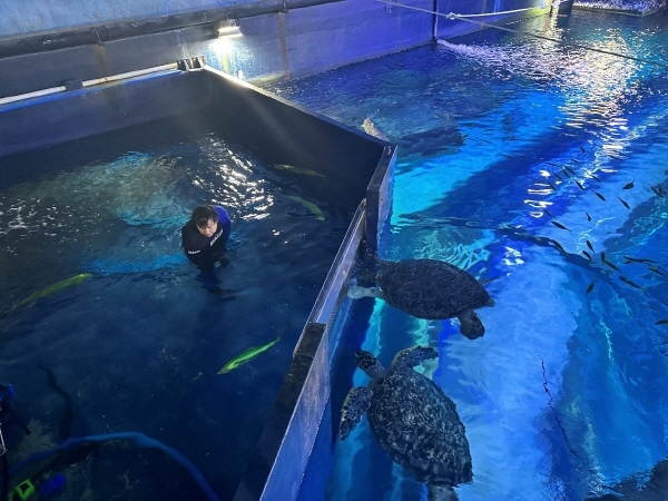 부산 아쿠아리움, 3월 새로운 봄의 시작 맞아 새롭고 희귀한 해양생물들 반입