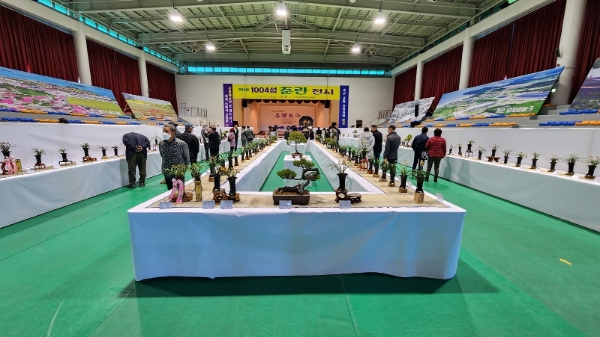 춘란전시 전시장 (사진제공 = 신안군)