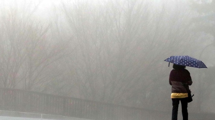 비가 내리는 지난 12일 오전 서울 용산구 남산에서 시민이 우산을 쓰고 산책을 하고 있다.