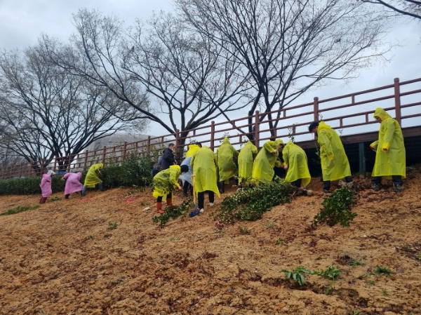 제78회 식목일 나무심기 행사 (사진제공 = 담양군)