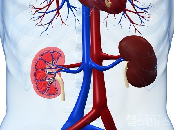 클립아트코리아
