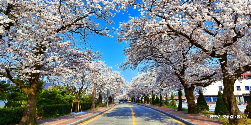 청백-e 시스템 교육 (사진제공 = 무안군)