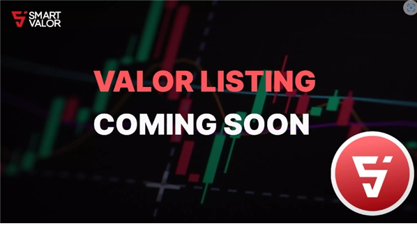 스위스 블록체인 프로젝트 ‘밸러토큰’, 비트렉스 상장 임박