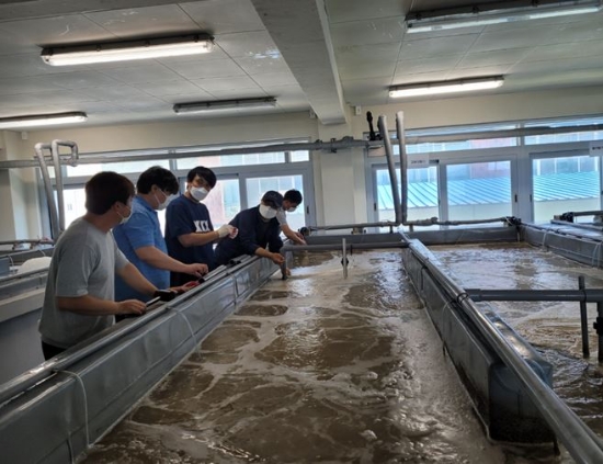 제공:한국어촌어항공단