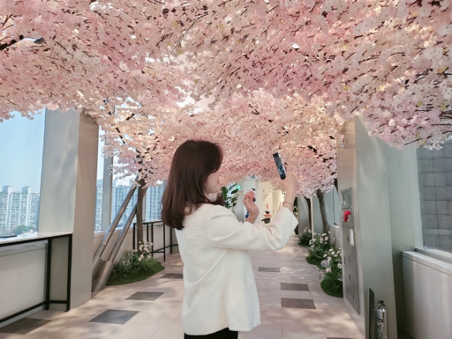 경기점 벚꽃길 / 연합뉴스